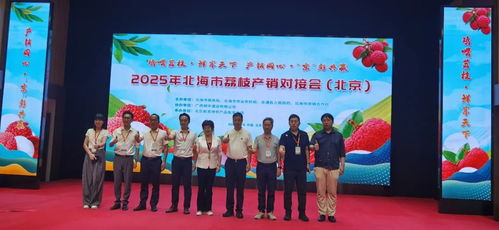 北海荔枝進(jìn)京拓市場產(chǎn)銷對接助力鄉(xiāng)村振興 北海市在京成功舉辦荔枝產(chǎn)銷對接會