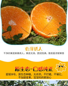 眉山愛媛38號果凍橙 自然鮮甜，孕媽首選的多規(guī)格柑橘批發(fā)佳品
